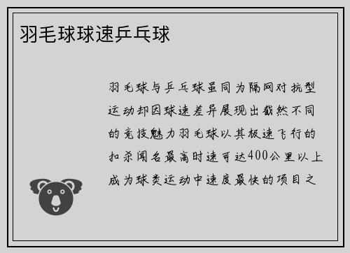 羽毛球球速乒乓球